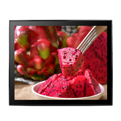 19 Inch PCAP Touch Screen Monitor With 350 Nits VGA DVI Interfaces