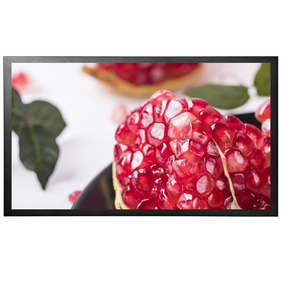 High Resolution 1920x1080 21.5 Inch SAW Touch Monitor For Kiosks